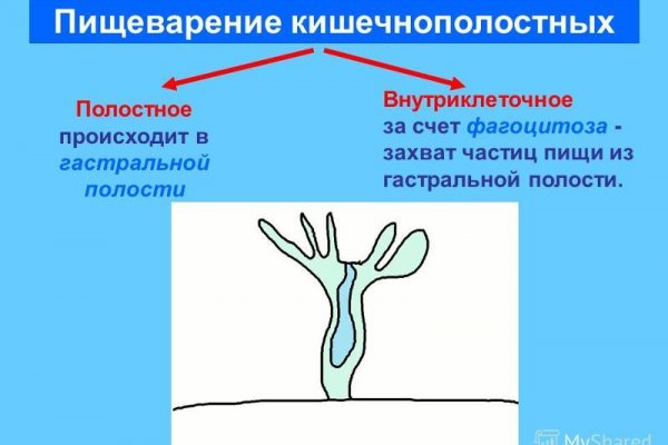 Кракен маркет дарнет только через тор